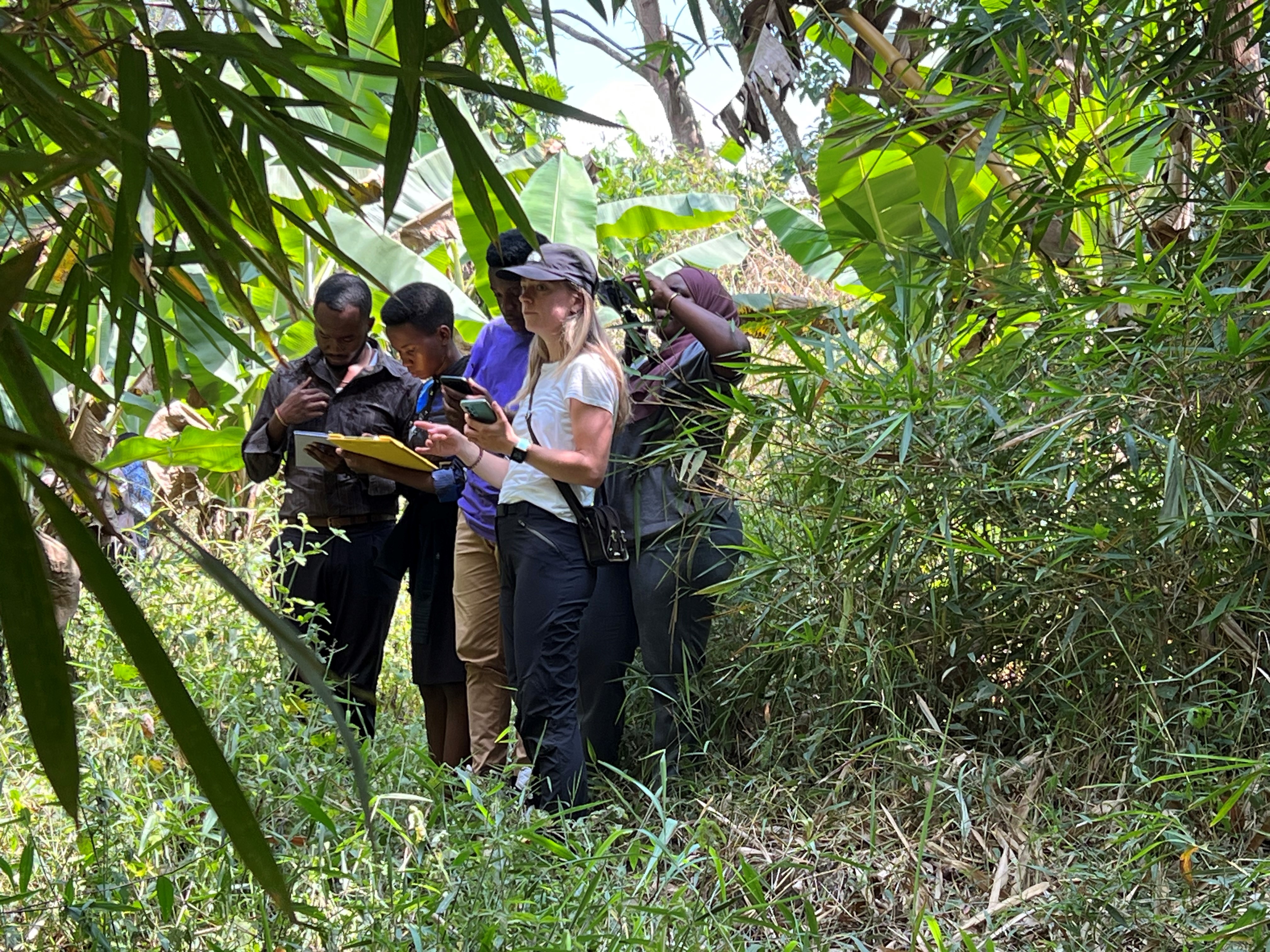 Foto Field work FarmTree.jpg
