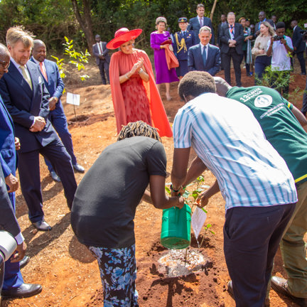 Simon Planting Trees With The Royal Family